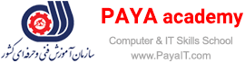 PAYA Computer Training Academy