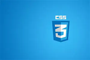 سی اس اس CSS چیست؟